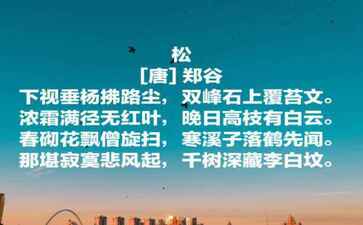 电商平台升级案例