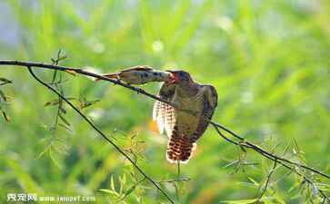 北京灵迅医药科技有限公司