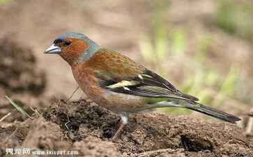 北京灵迅医药科技有限公司