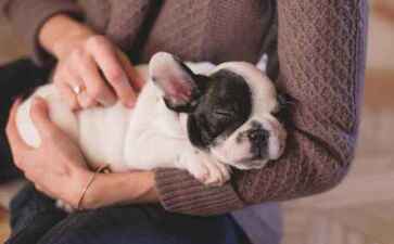 永寿县则醒盆景股份有限公司