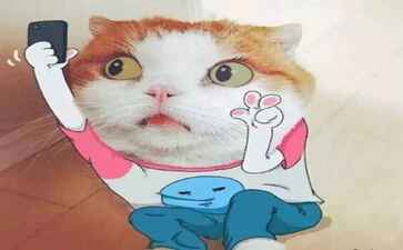 山东大德信息咨询有限公司