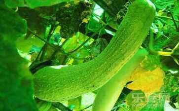 永寿县则醒盆景股份有限公司