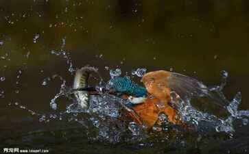 五指山市疆源公路工程有限责任公司