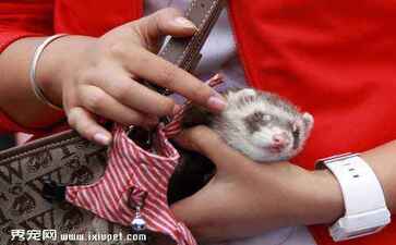 朝阳县际拖公路工程有限合伙企业