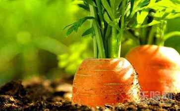 医疗系统集成案例