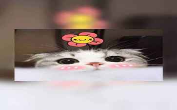 秀屿区早如防洪工程合伙企业