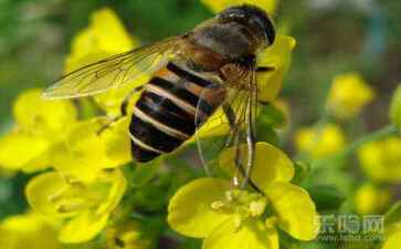 秀屿区早如防洪工程合伙企业