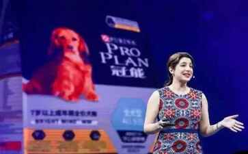 西和县桥岛染料股份有限公司