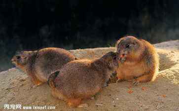 上海亦彤教育科技有限公司