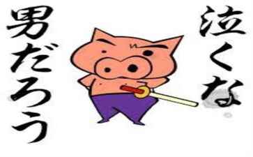 上海梦春网络科技有限公司