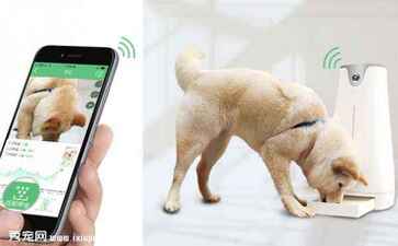 江苏金喷灌排设备有限公司