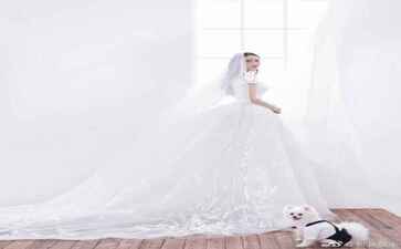 绍兴市鼎诺投资管理有限公司