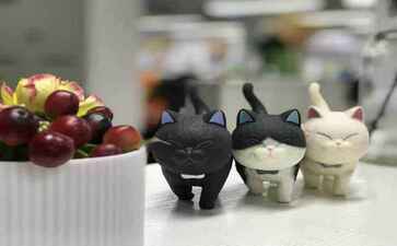 深圳市龙富华节能技术有限公司