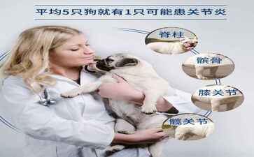 金融系统开发案例