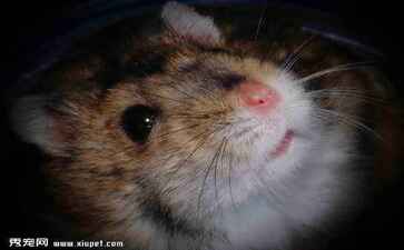 医疗系统集成案例