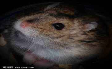 金融系统开发案例