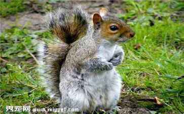 电商平台升级案例