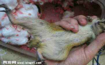 医疗系统集成案例