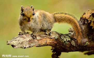 医疗系统集成案例