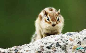 医疗系统集成案例