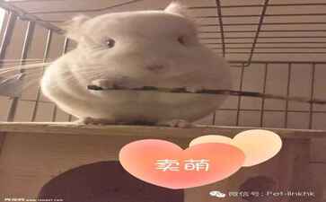 上海颍蕴网络技术工作室