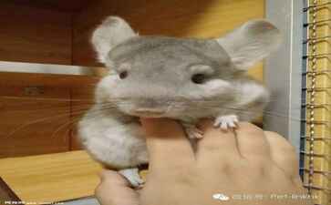 上海颍蕴网络技术工作室