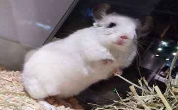 上海颍蕴网络技术工作室