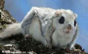 金融系统开发案例