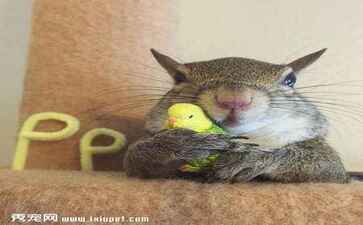 上海易蜀软件有限公司