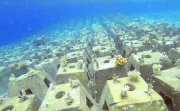 电商平台升级案例