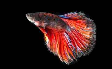 菏泽市共骨房产有限责任公司