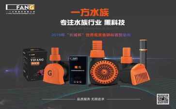 电商平台升级案例