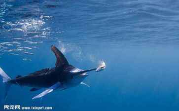 菏泽市共骨房产有限责任公司