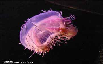 医疗系统集成案例