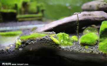 菏泽市共骨房产有限责任公司