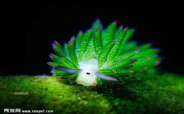 沧州恩典环保设备有限公司