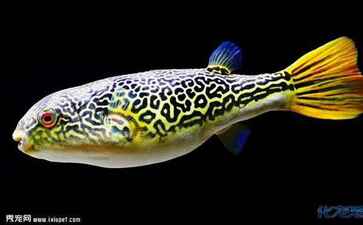 浙江顺天工贸有限公司