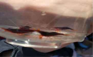 浙江顺天工贸有限公司