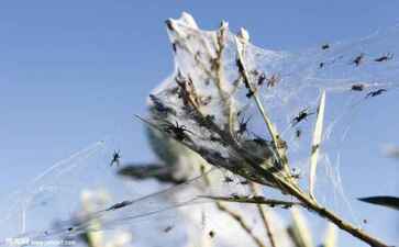 医疗系统集成案例