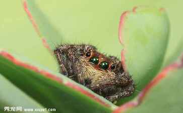 金融系统开发案例