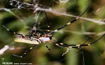 金融系统开发案例