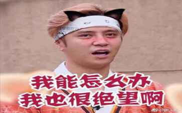 山东蓝标信息科技有限公司淄博分公司