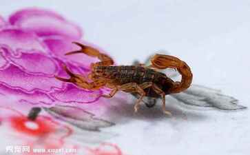 宁波海曙宏德会计服务有限公司