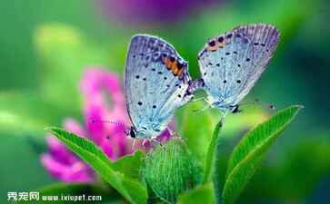 洞口帝豪电器有限责任公司