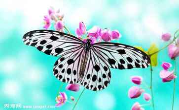 山东泓美环境工程有限公司