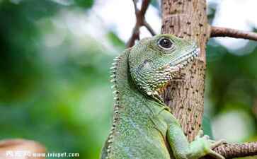 电商平台升级案例