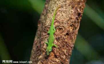诸城市雷诺机械有限公司