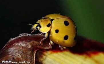 宁波海曙宏德会计服务有限公司