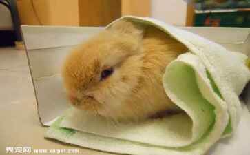 江西爱旅行商务科技有限公司