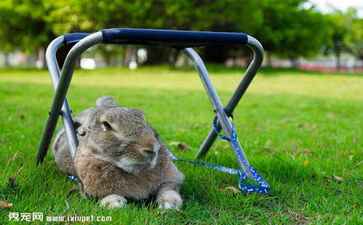 电商平台升级案例